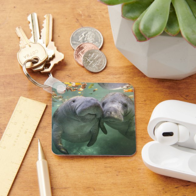 Cutest Baby Animals | Two Manatees Keychain (Desk)
