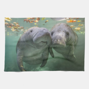 Cutest Baby Animals   Two Manatees Kitchen Towel