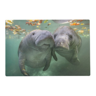 Cutest Baby Animals Two Manatees Placemat