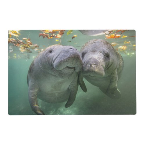 Cutest Baby Animals  Two Manatees Placemat
