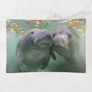 Cutest Baby Animals Two Manatees Trinket Tray