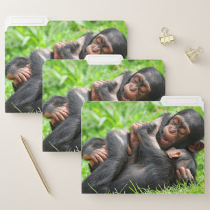Cutest Baby Animals Two Young Chimpanzees File Folder