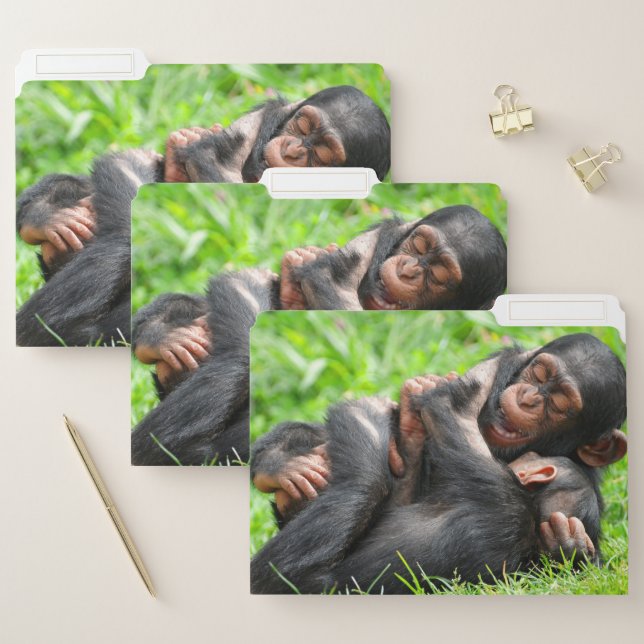 Cutest Baby Animals | Two Young Chimpanzees File Folder (Set)