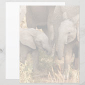 Cutest Baby Animals | Two Young Elephants (Front/Back)