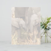 Cutest Baby Animals | Two Young Elephants (Standing Front)