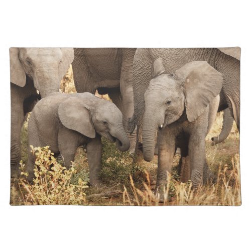 Cutest Baby Animals  Two Young Elephants Cloth Placemat
