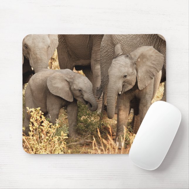 Cutest Baby Animals | Two Young Elephants Mouse Pad (With Mouse)