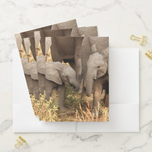 Cutest Baby Animals Two Young Elephants Pocket Folder