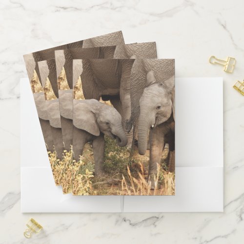 Cutest Baby Animals  Two Young Elephants Pocket Folder