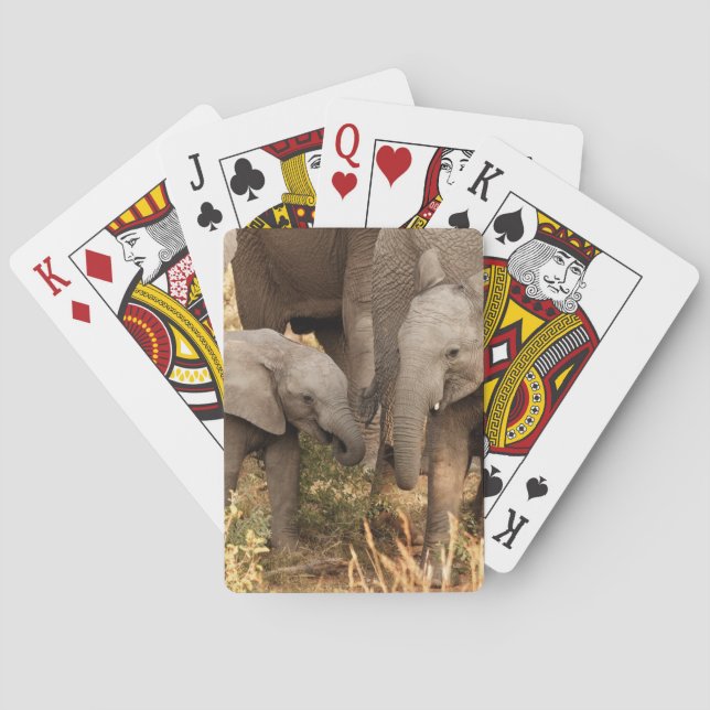 Cutest Baby Animals | Two Young Elephants Poker Cards (Back)