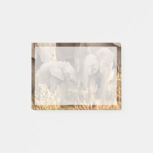 Cutest Baby Animals   Two Young Elephants Post-it Notes