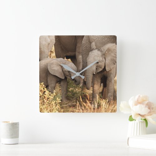 Cutest Baby Animals  Two Young Elephants Square Wall Clock
