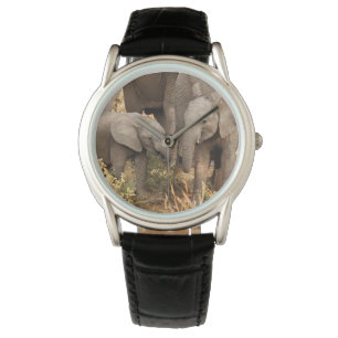 Cutest Baby Animals Two Young Elephants Watch