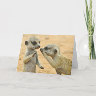 Cutest Baby Animals   Two Young Meerkats Card