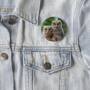 Cutest Baby Animals Two Young Owls Button