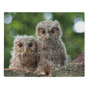 Cutest Baby Animals Two Young Owls Jigsaw Puzzle