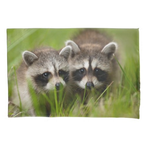 Cutest Baby Animals  Two Young Raccoons Pillow Case