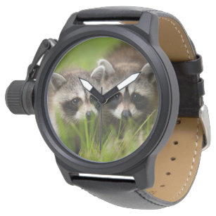 Raccoon Wrist Watches | Zazzle