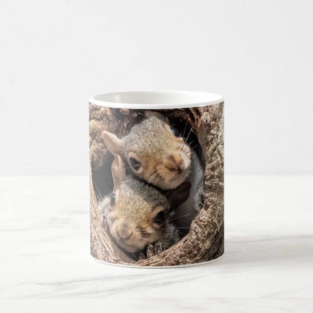 Cutest Baby Animals | Two Young Squirrels Coffee Mug (Center)