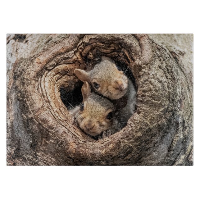 Cutest Baby Animals | Two Young Squirrels Cutting Board (Front)