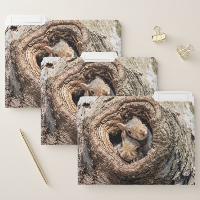 Cutest Baby Animals | Two Young Squirrels File Folder (Set)