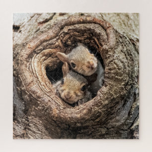 Cutest Baby Animals Two Young Squirrels Jigsaw Puzzle
