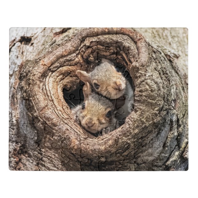 Cutest Baby Animals | Two Young Squirrels Jigsaw Puzzle (Puzzle Horizontal)