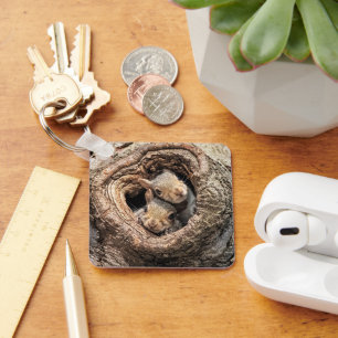 Cutest Baby Animals Two Young Squirrels Keychain