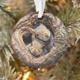 Cutest Baby Animals Two Young Squirrels Ornament