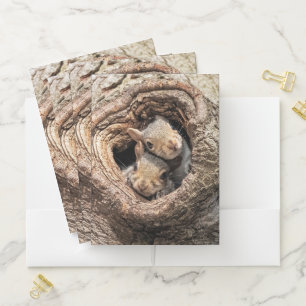 Cutest Baby Animals Two Young Squirrels Pocket Folder