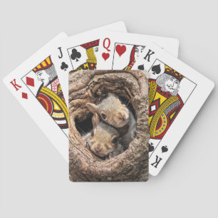 Cutest Baby Animals Two Young Squirrels Poker Cards
