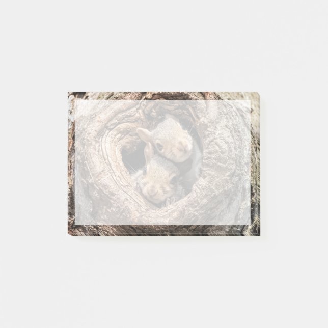 Cutest Baby Animals | Two Young Squirrels Post-it Notes (Front)