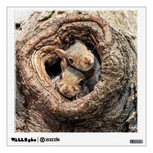 Cutest Baby Animals Two Young Squirrels Wall Decal