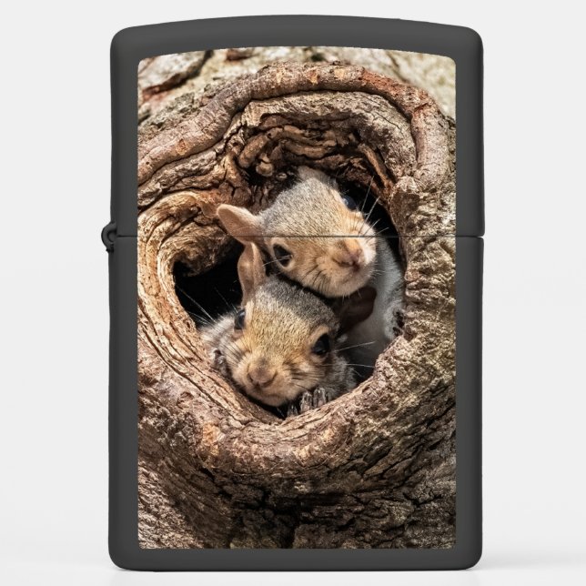 Cutest Baby Animals | Two Young Squirrels Zippo Lighter (Front)