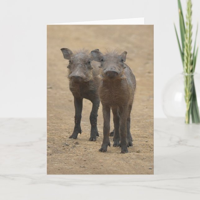 Cutest Baby Animals | Two Young Warthogs Card (Front)