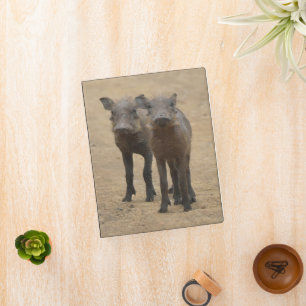 Cutest Baby Animals Two Young Warthogs Mini Binder