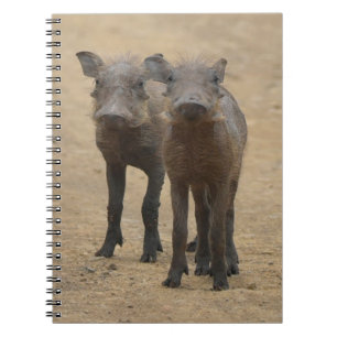 Cutest Baby Animals Two Young Warthogs Notebook