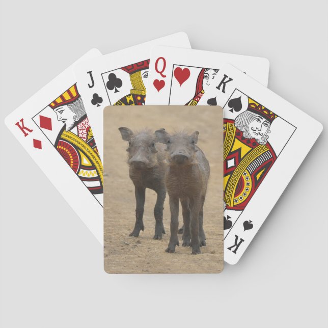 Cutest Baby Animals | Two Young Warthogs Poker Cards (Back)