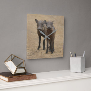 Cutest Baby Animals Two Young Warthogs Square Wall Clock