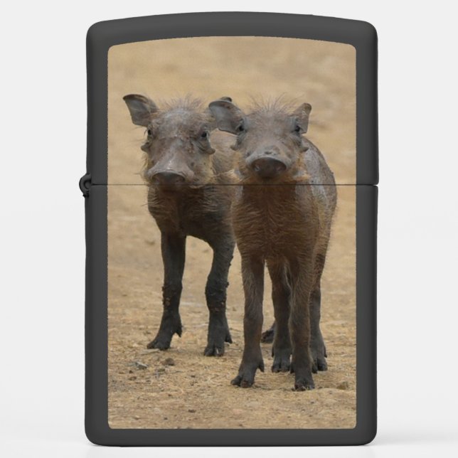Cutest Baby Animals | Two Young Warthogs Zippo Lighter (Front)