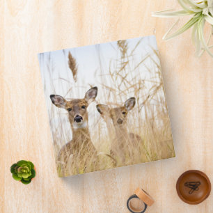 Cutest Baby Animals Two Young White Tailed Deer 3 Ring Binder