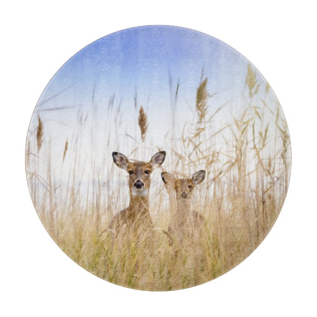 Cutest Baby Animals | Two Young White Tailed Deer Cutting Board (Front)