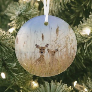 Cutest Baby Animals Two Young White Tailed Deer Glass Ornament