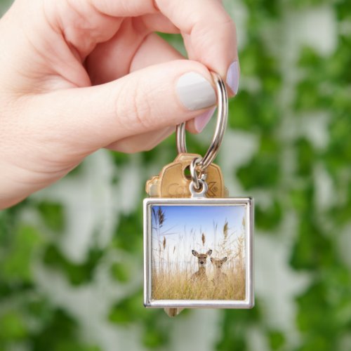 Cutest Baby Animals  Two Young White Tailed Deer Keychain