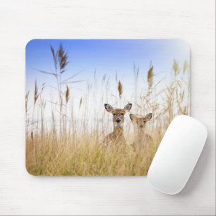 Cutest Baby Animals Two Young White Tailed Deer Mouse Pad