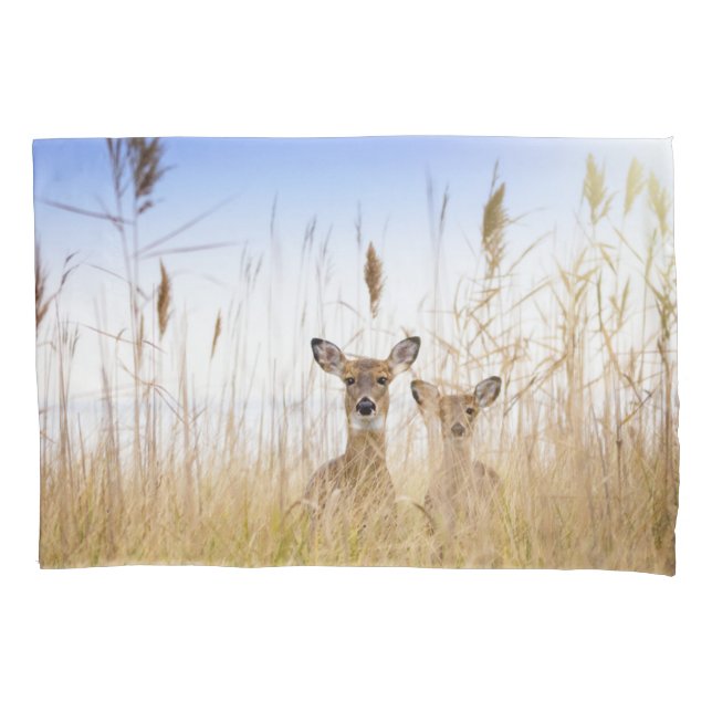 Cutest Baby Animals | Two Young White Tailed Deer Pillow Case (Front)