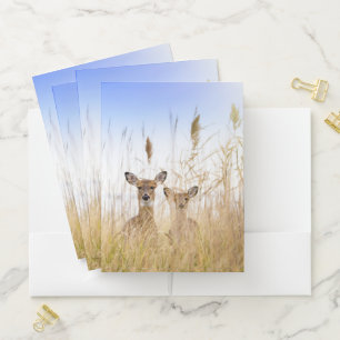 Cutest Baby Animals Two Young White Tailed Deer Pocket Folder