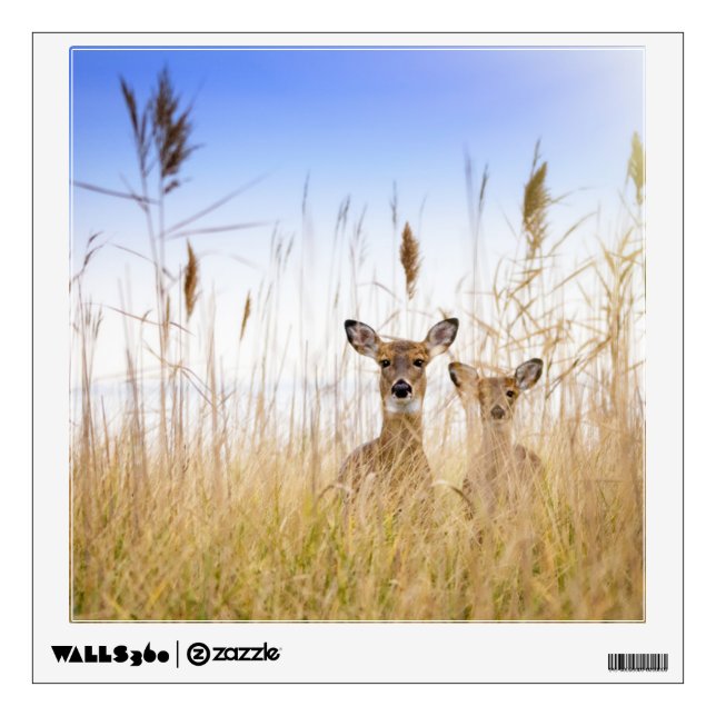 Cutest Baby Animals | Two Young White Tailed Deer Wall Decal (Front)