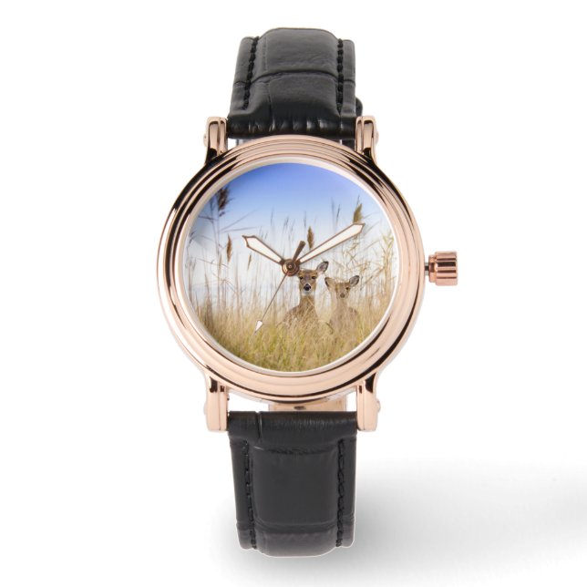 Cutest Baby Animals | Two Young White Tailed Deer Watch (Front)