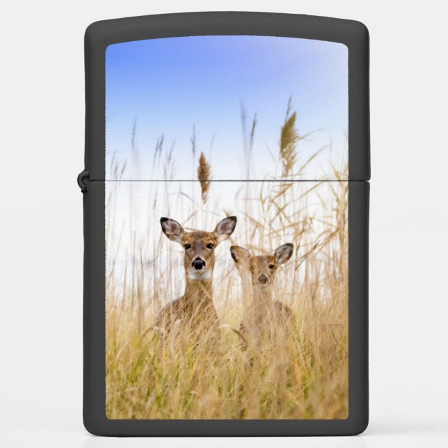Cutest Baby Animals | Two Young White Tailed Deer Zippo Lighter (Front)